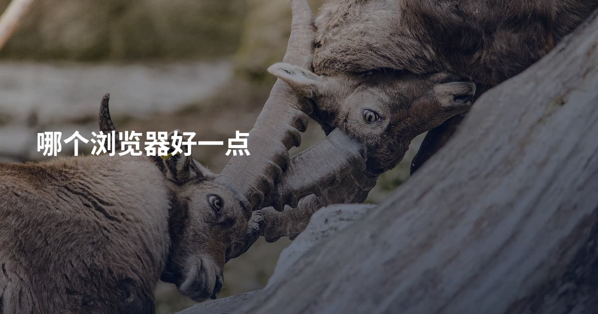哪个浏览器好一点