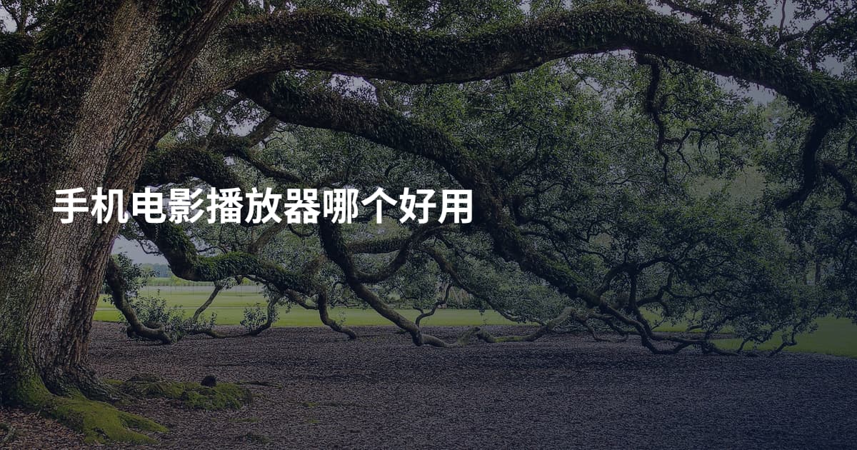 手机电影播放器哪个好用