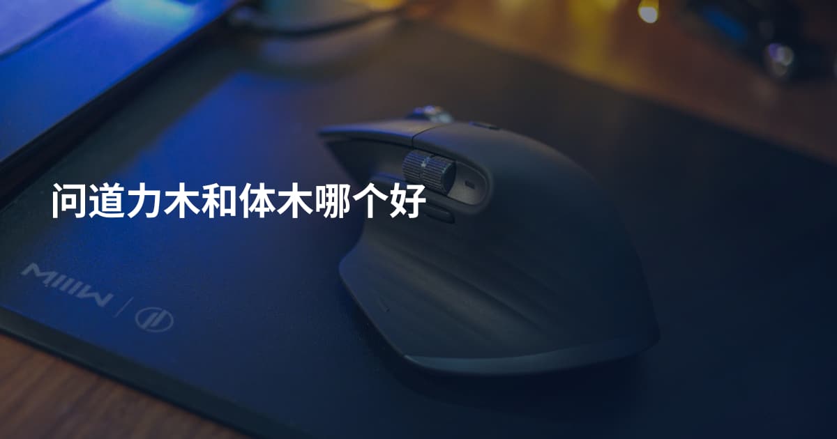 问道力木和体木哪个好