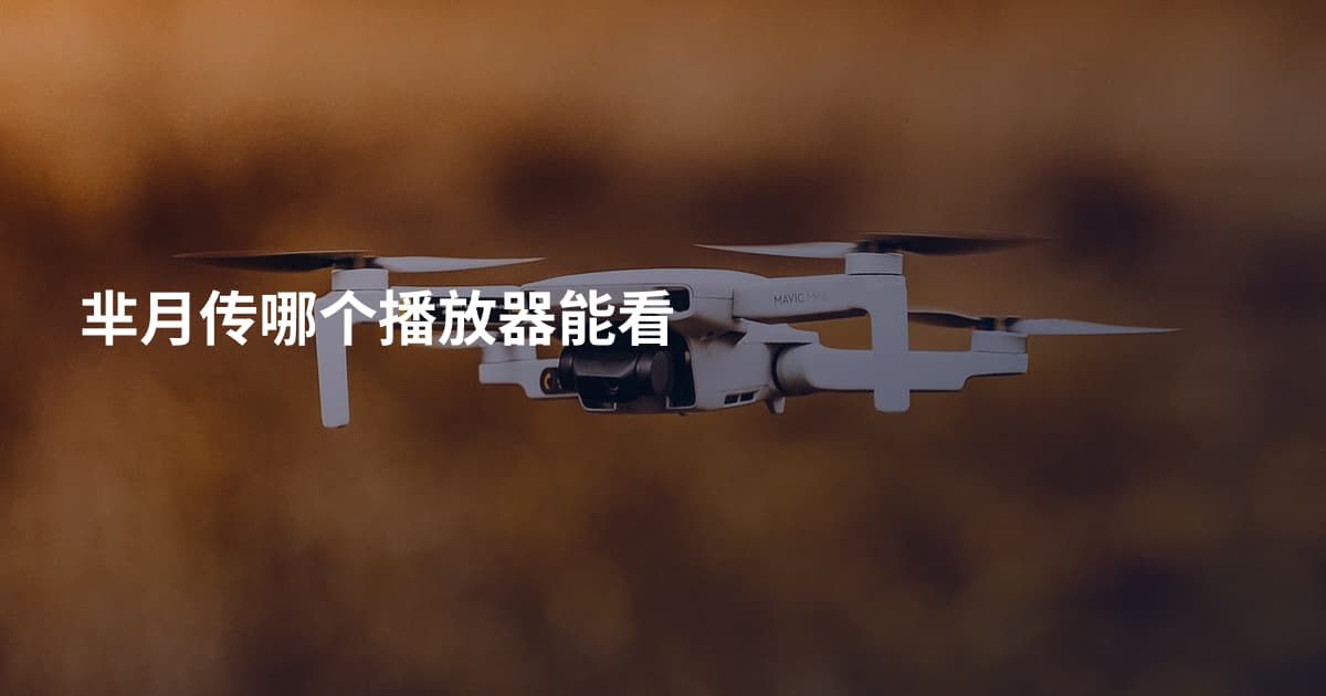芈月传哪个播放器能看