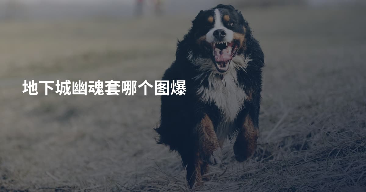 地下城幽魂套哪个图爆