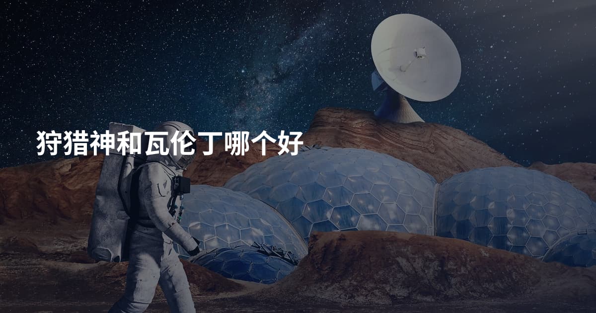 狩猎神和瓦伦丁哪个好