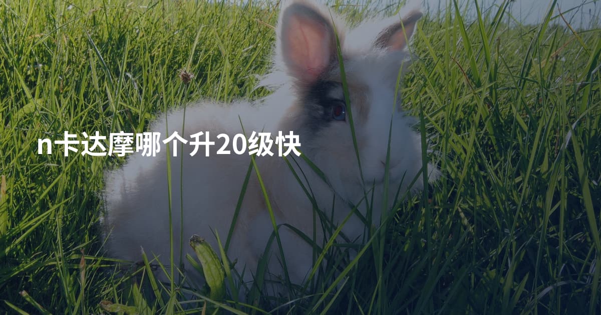 n卡达摩哪个升20级快