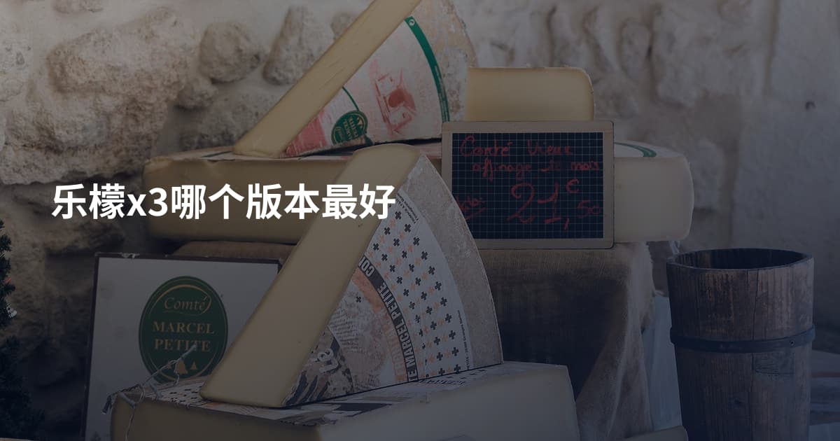 乐檬x3哪个版本最好
