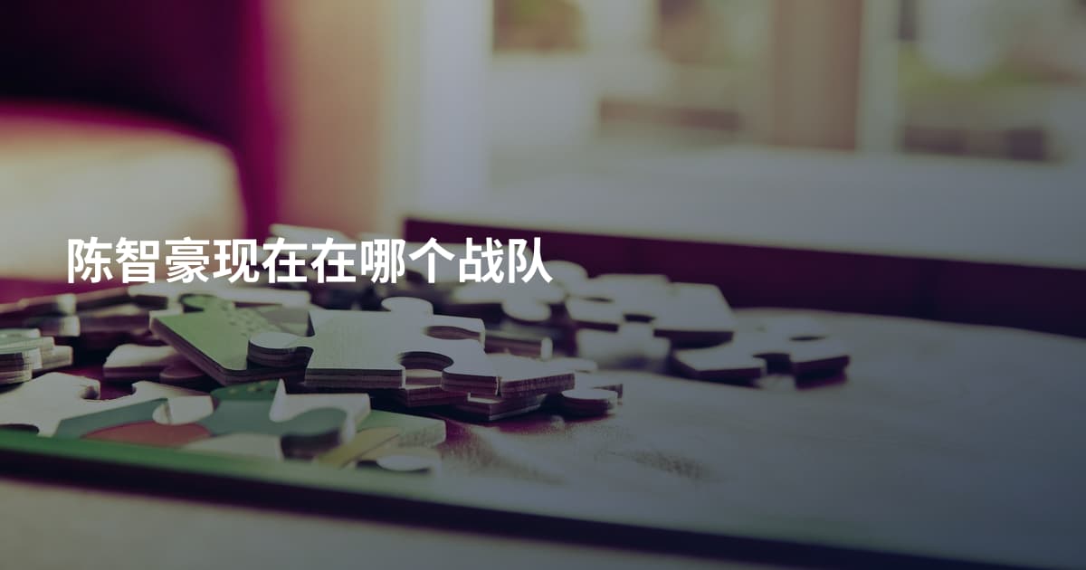 陈智豪现在在哪个战队