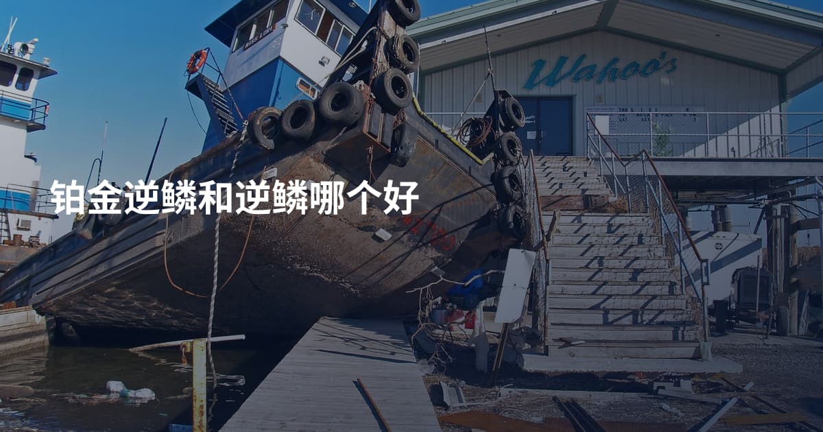 铂金逆鳞和逆鳞哪个好