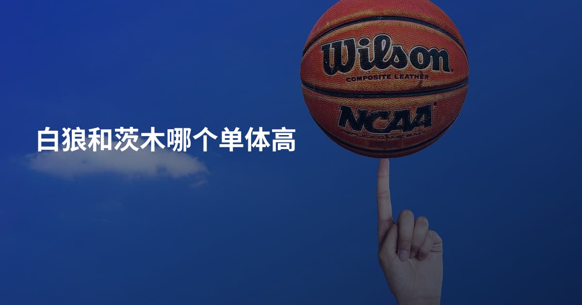 白狼和茨木哪个单体高