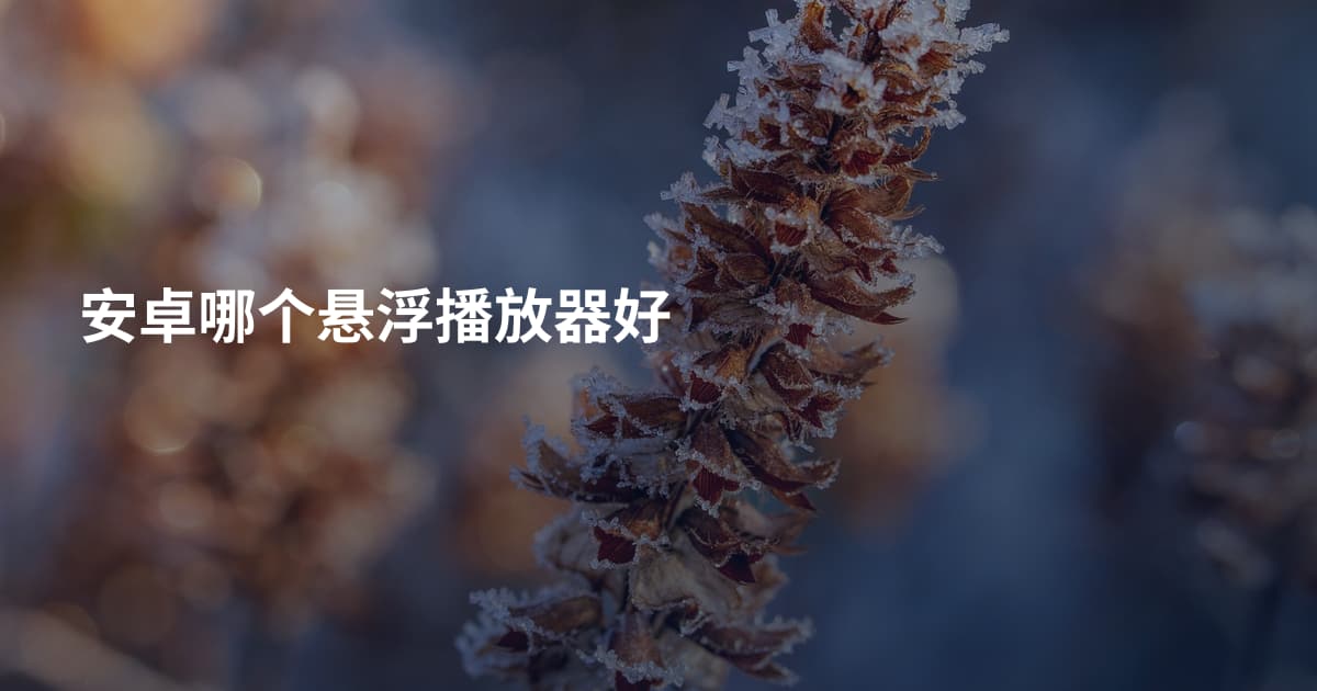 安卓哪个悬浮播放器好