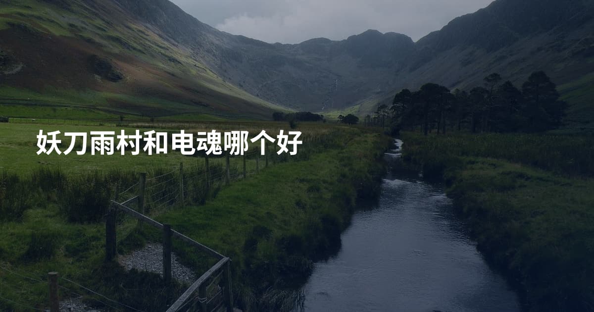 妖刀雨村和电魂哪个好