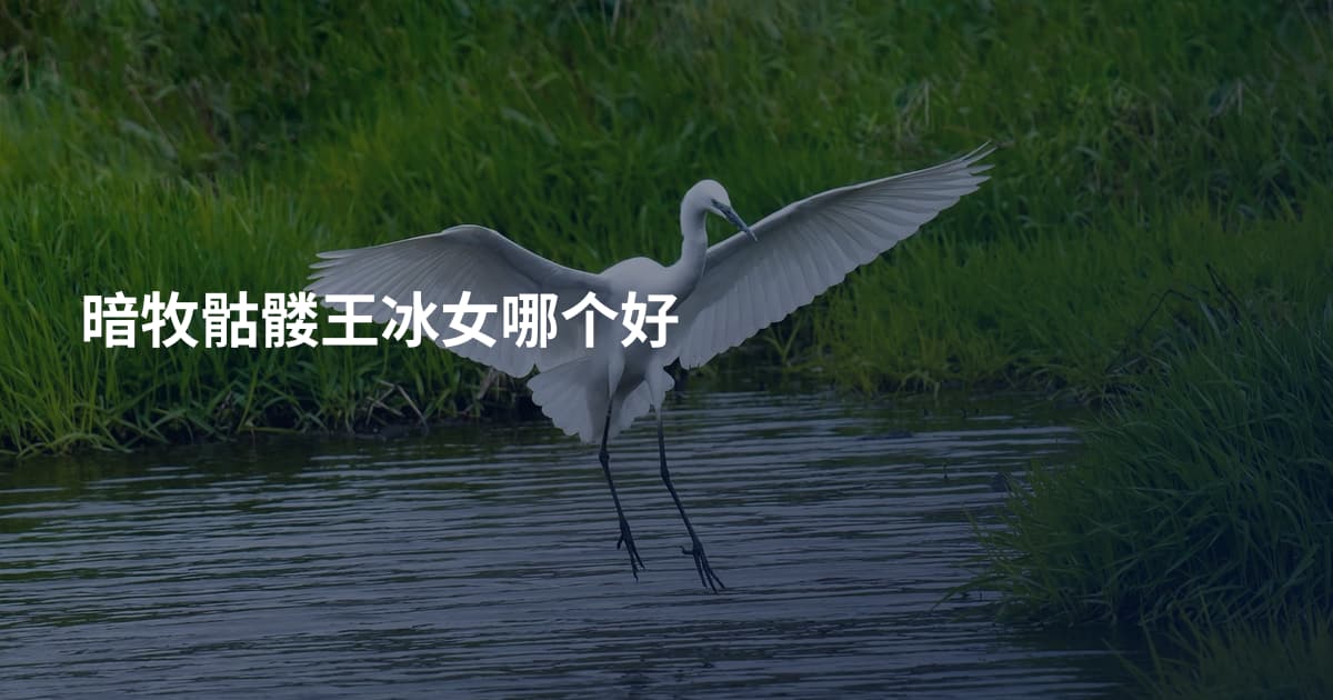 暗牧骷髅王冰女哪个好