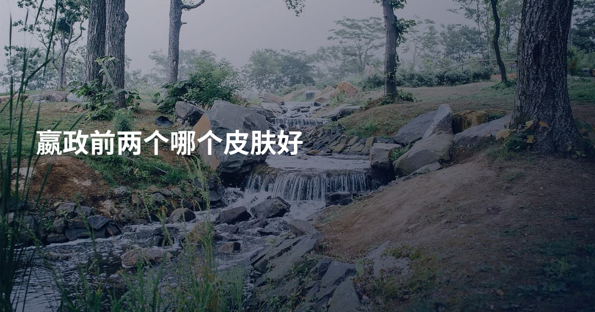 嬴政前两个哪个皮肤好
