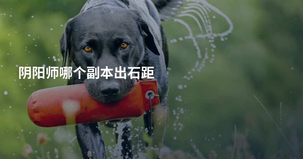 阴阳师哪个副本出石距