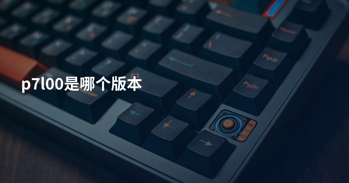 p7l00是哪个版本