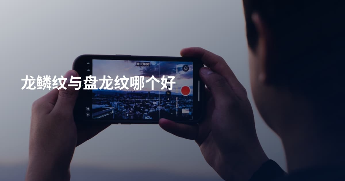 龙鳞纹与盘龙纹哪个好
