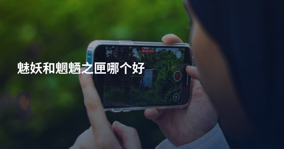 魅妖和魍魉之匣哪个好