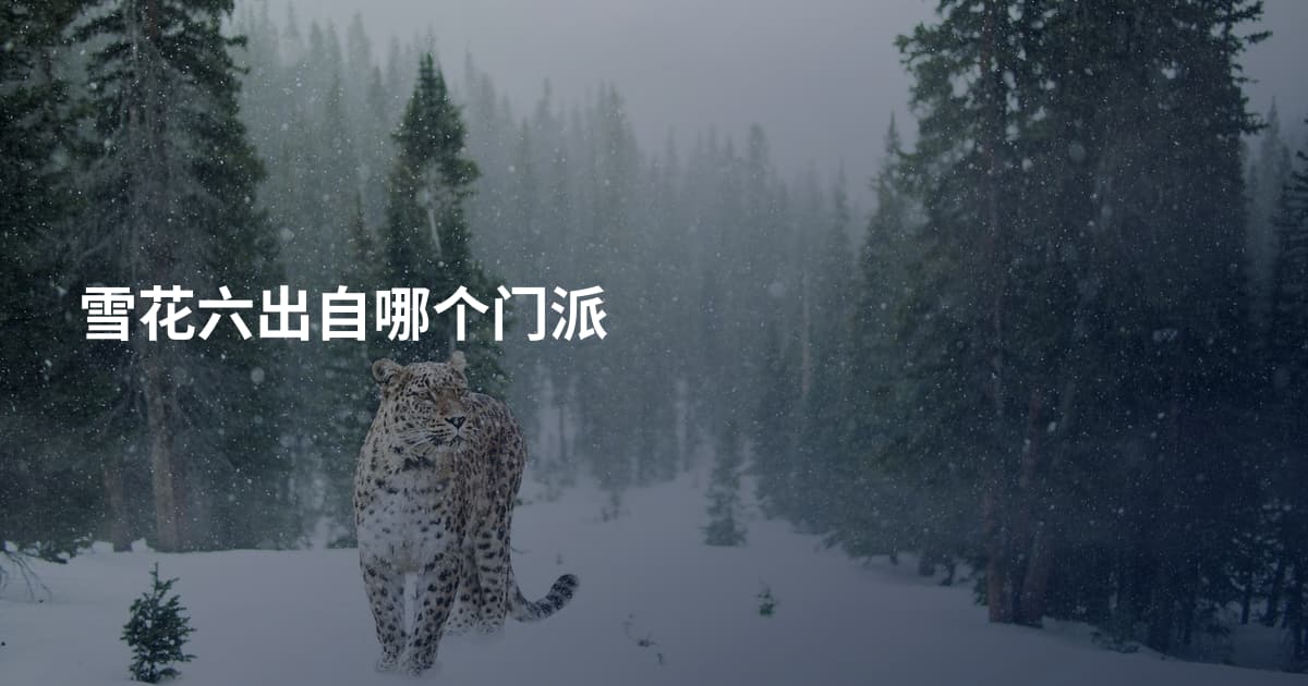 雪花六出自哪个门派