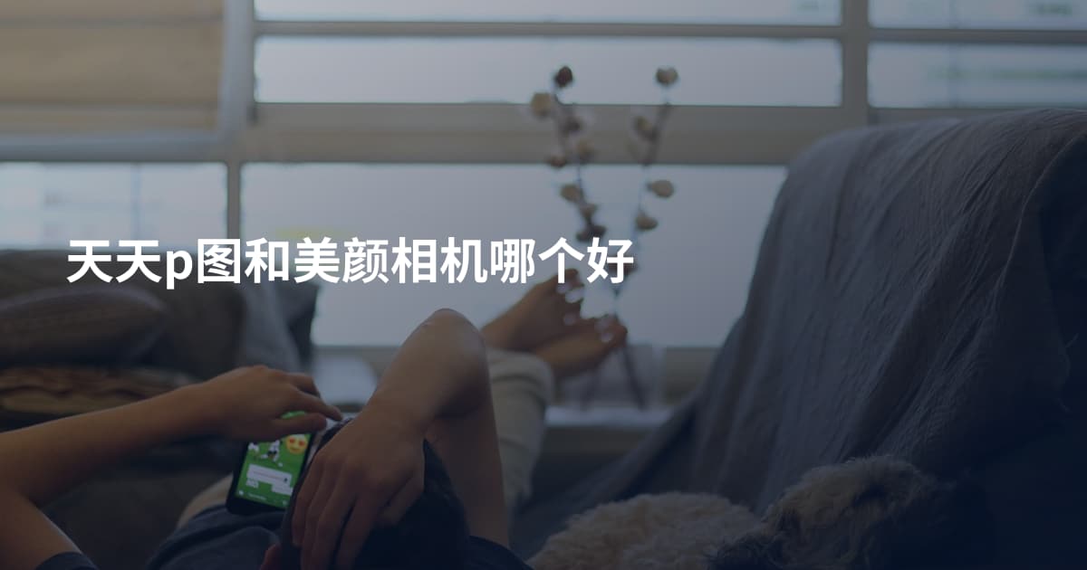 天天p图和美颜相机哪个好