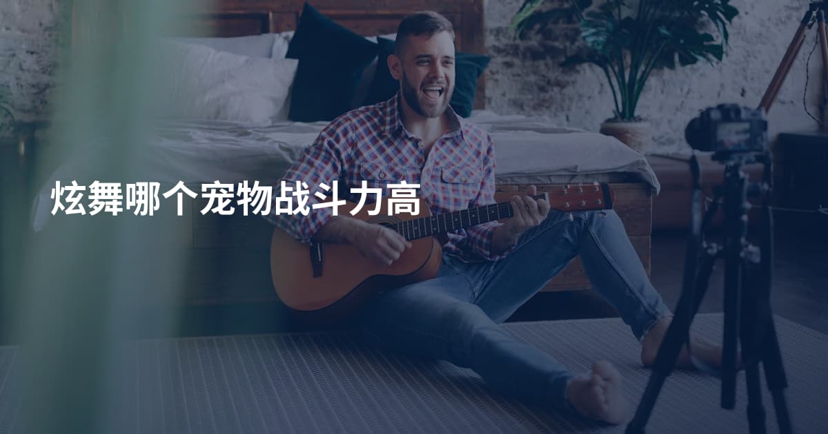 炫舞哪个宠物战斗力高