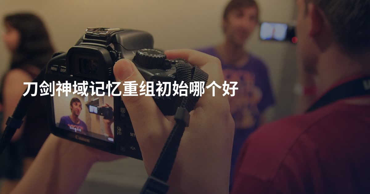 刀剑神域记忆重组初始哪个好