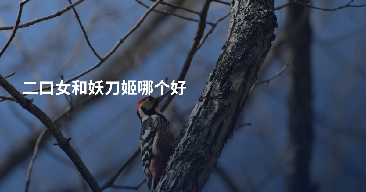 二口女和妖刀姬哪个好