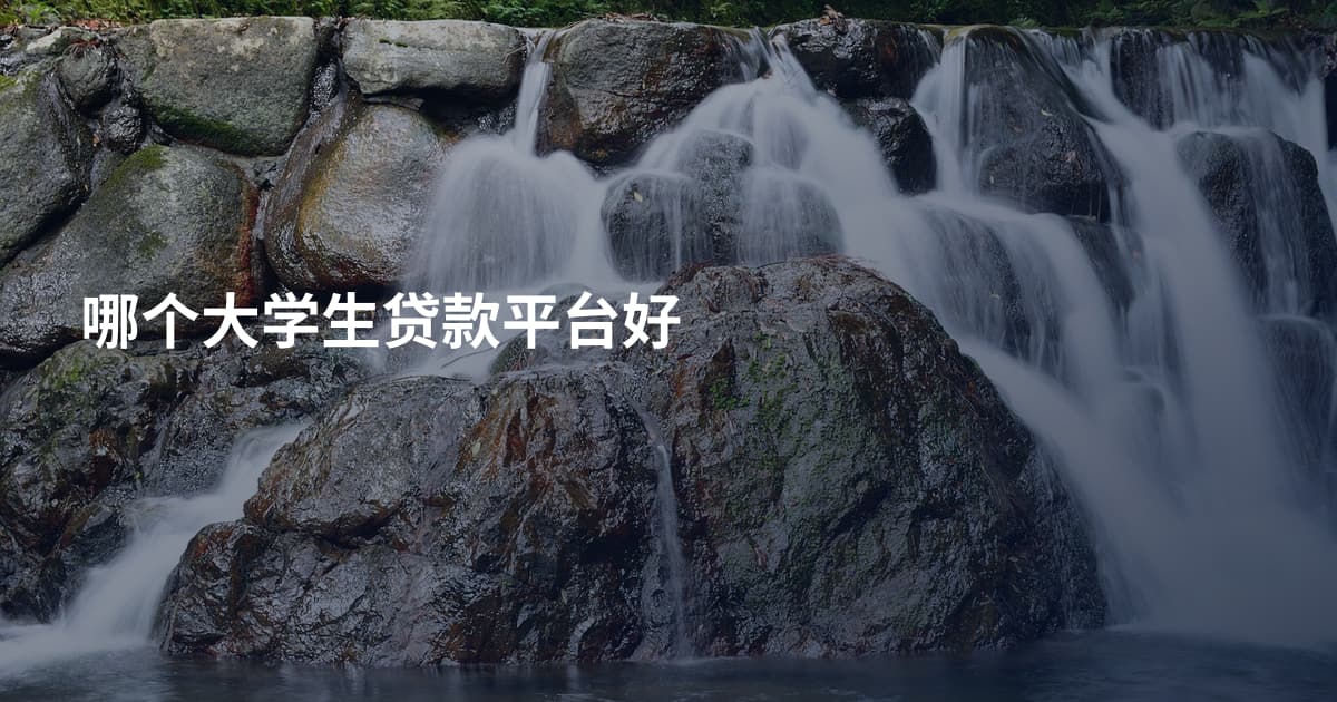 哪个大学生贷款平台好