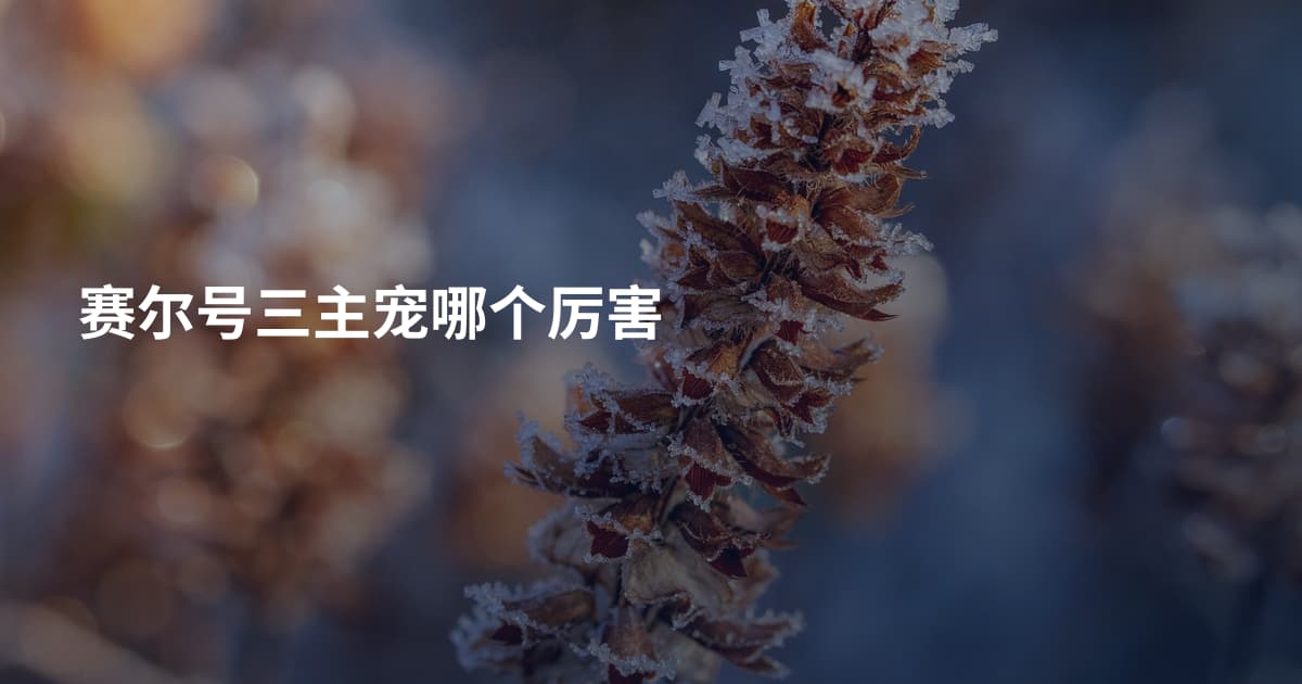 赛尔号三主宠哪个厉害