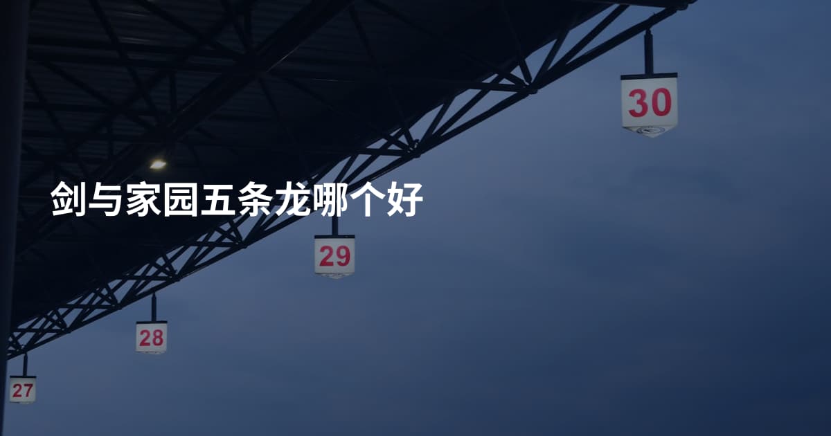 剑与家园五条龙哪个好