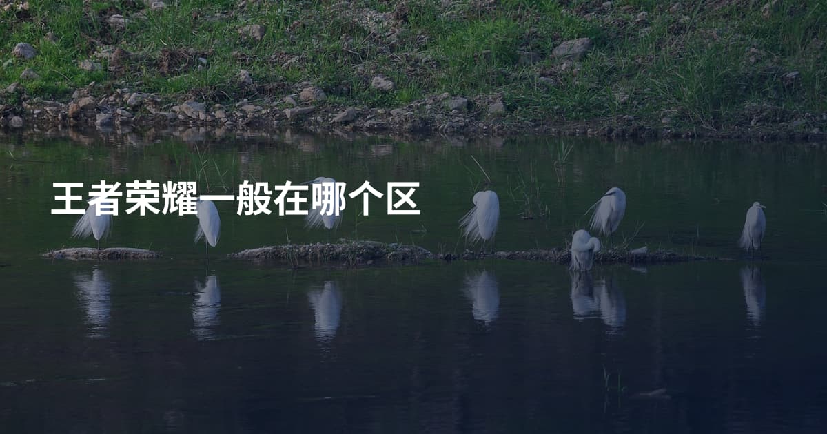 王者荣耀一般在哪个区