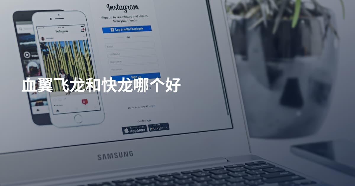 血翼飞龙和快龙哪个好