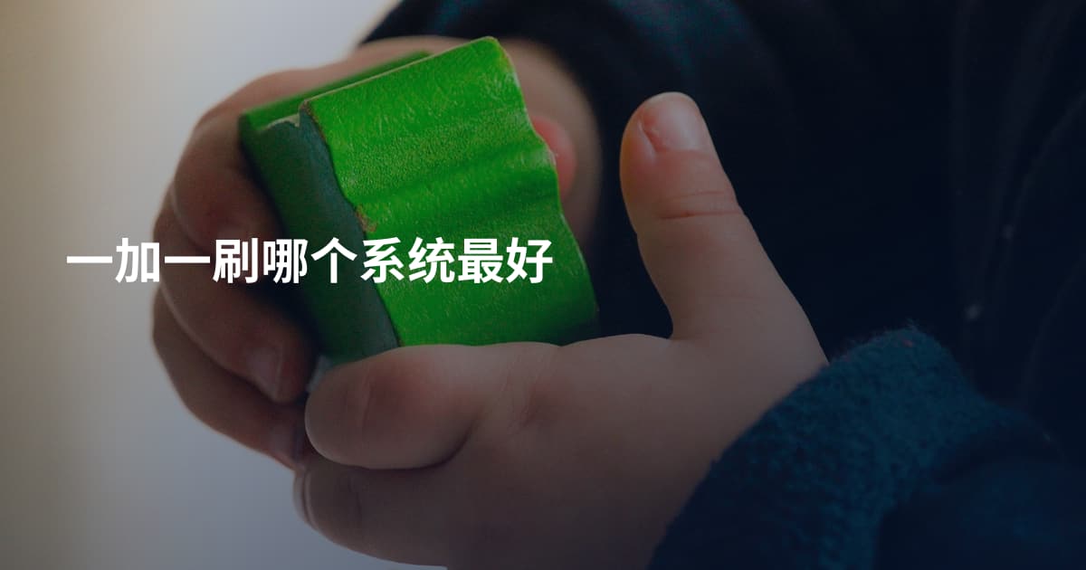 一加一刷哪个系统最好