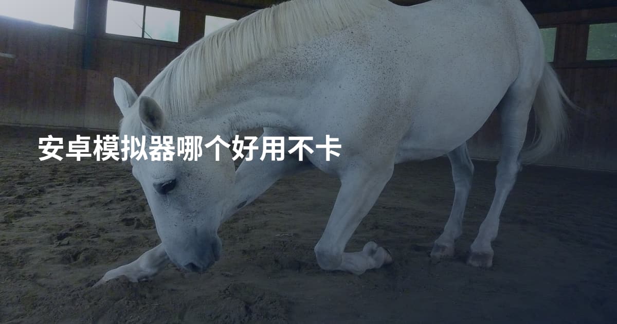 安卓模拟器哪个好用不卡