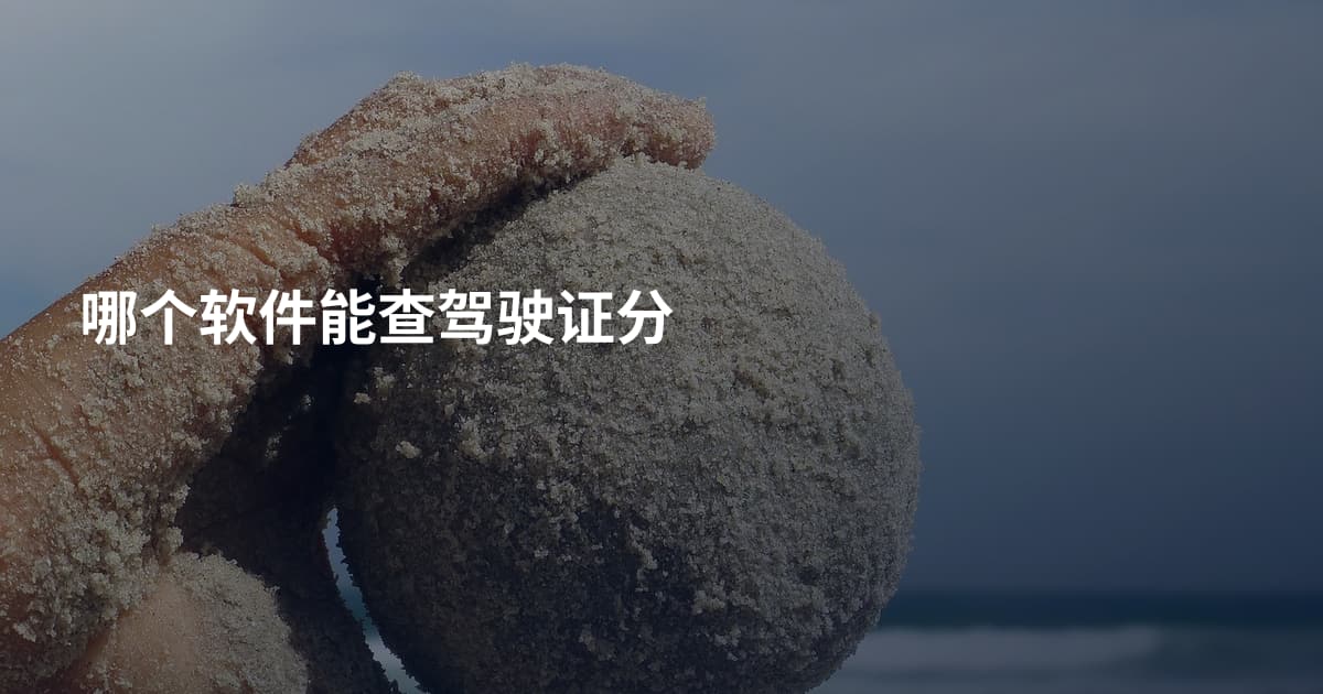哪个软件能查驾驶证分