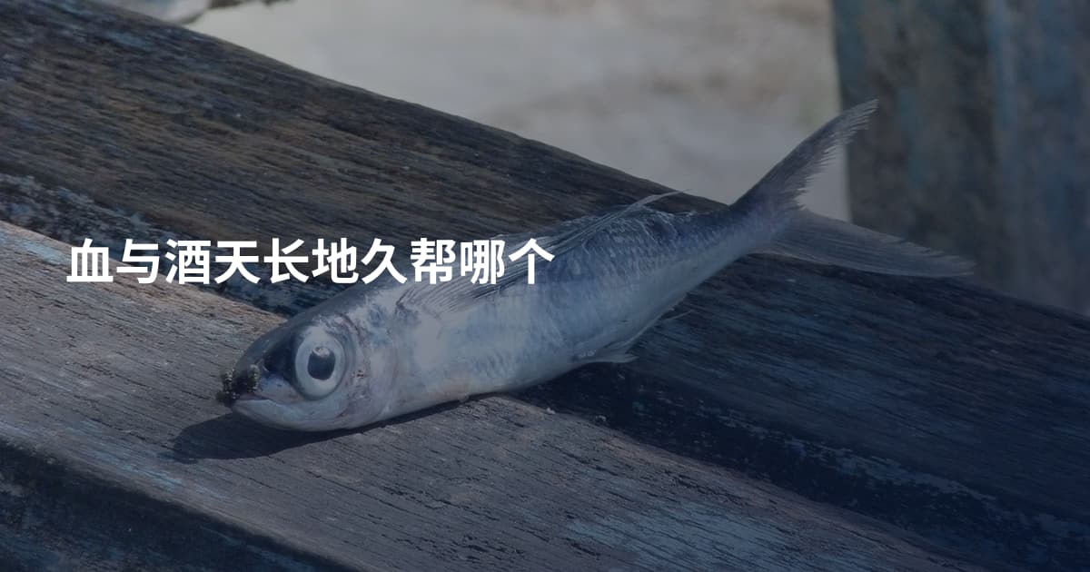 血与酒天长地久帮哪个