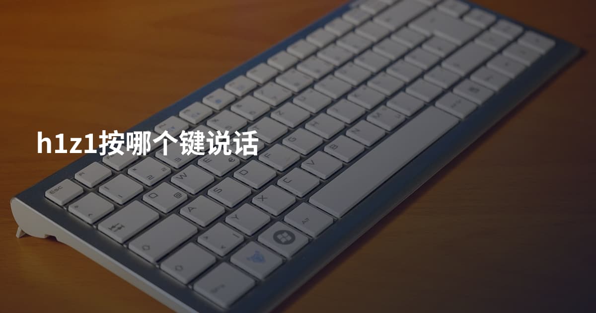 h1z1按哪个键说话
