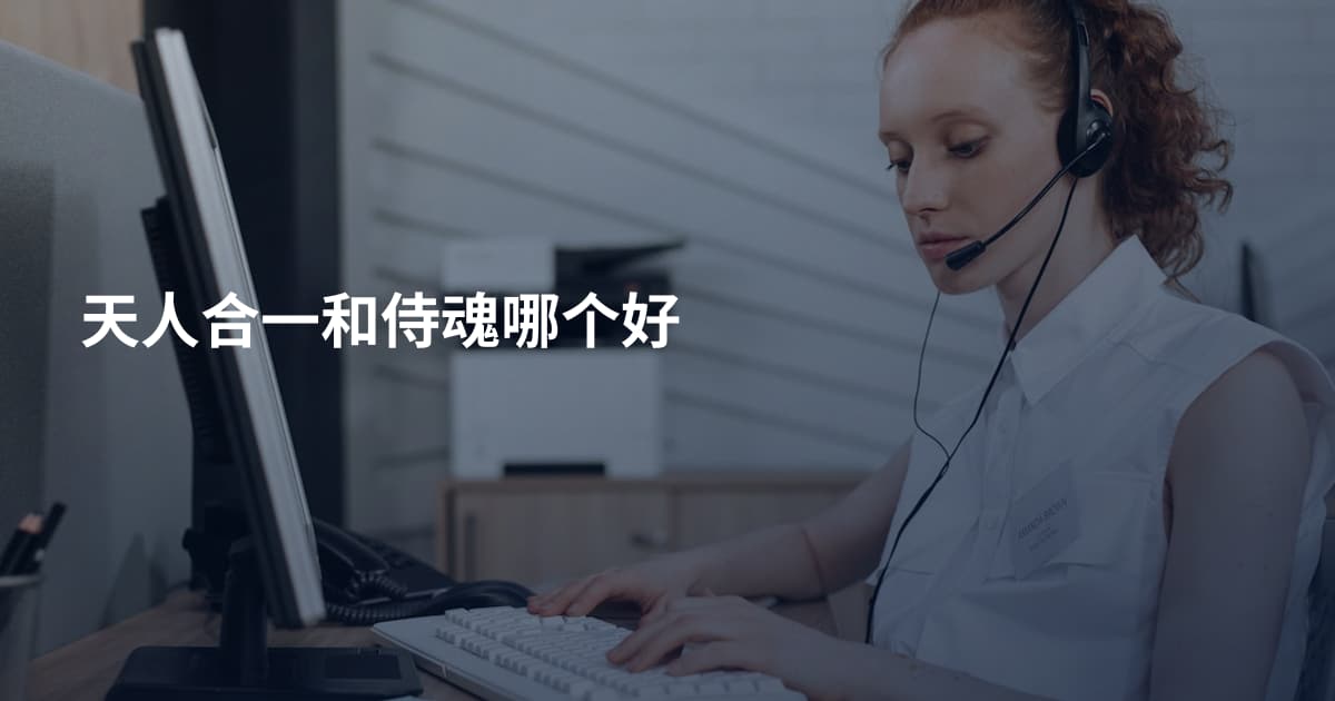 天人合一和侍魂哪个好