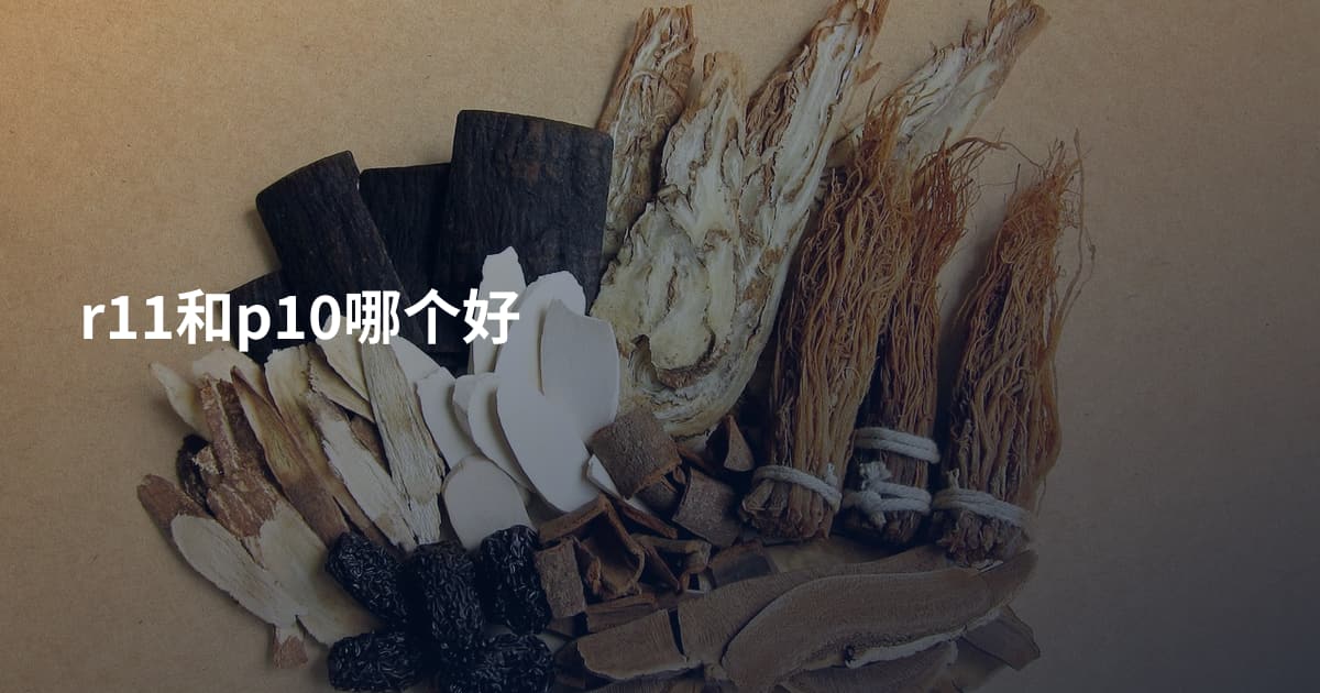 r11和p10哪个好