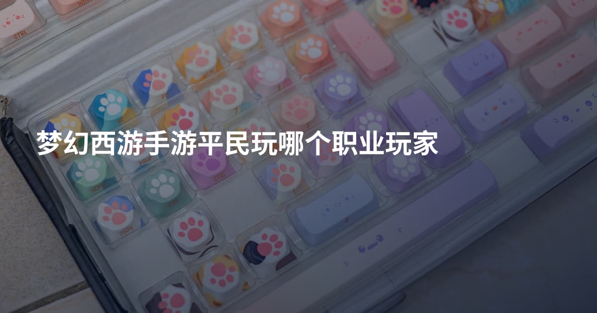 梦幻西游手游平民玩哪个职业玩家