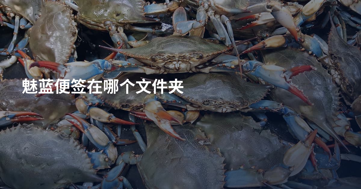 魅蓝便签在哪个文件夹