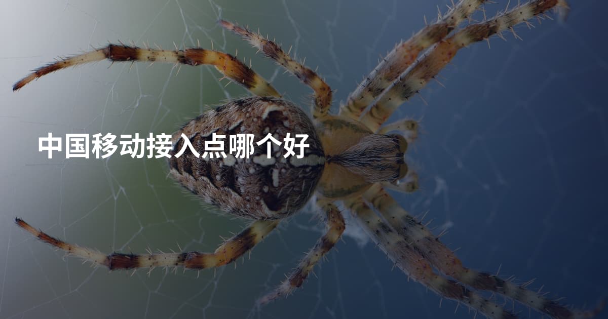 中国移动接入点哪个好
