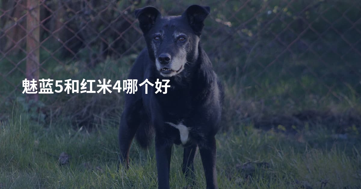 魅蓝5和红米4哪个好