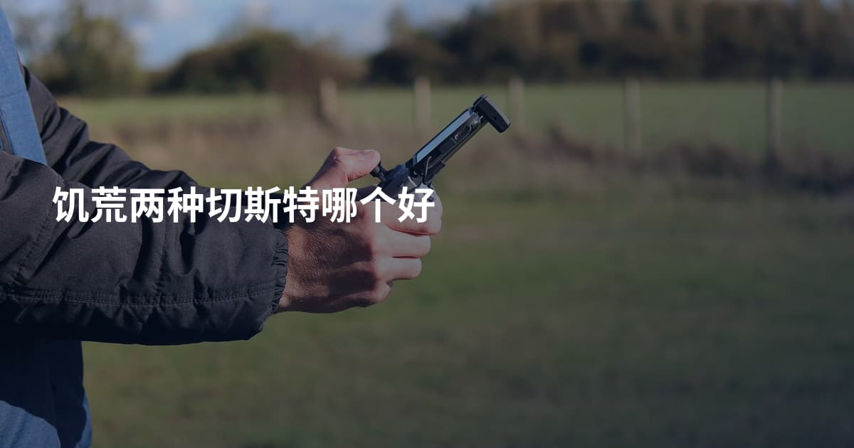 饥荒两种切斯特哪个好