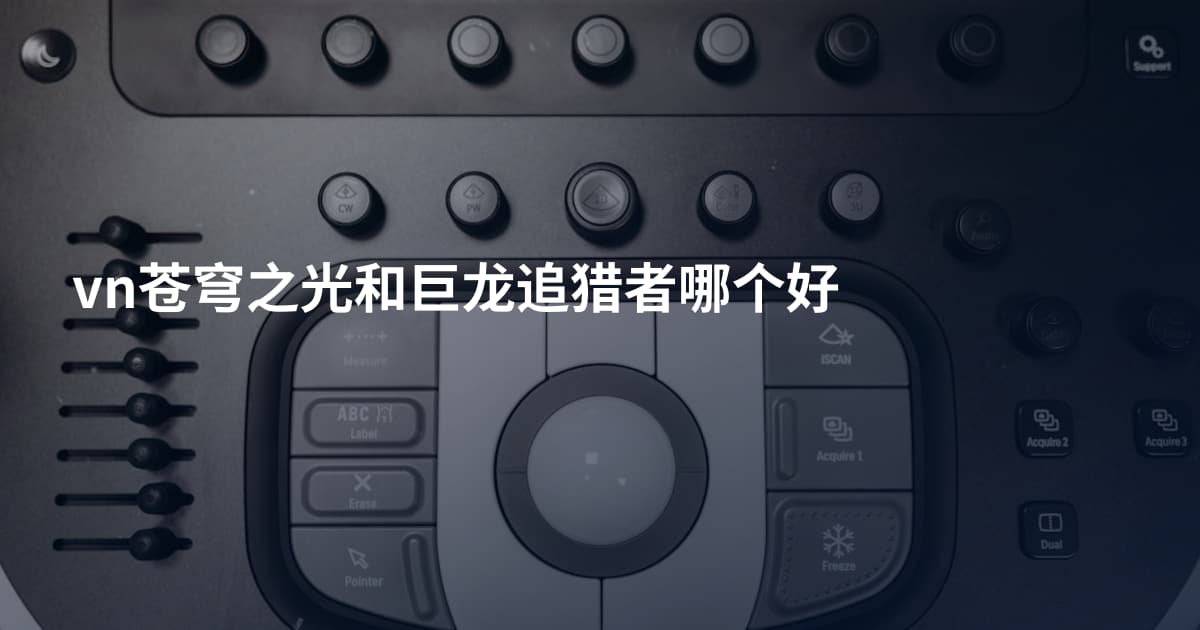 vn苍穹之光和巨龙追猎者哪个好