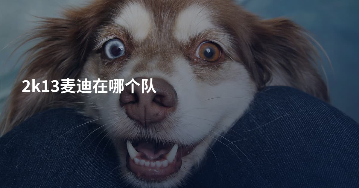 2k13麦迪在哪个队