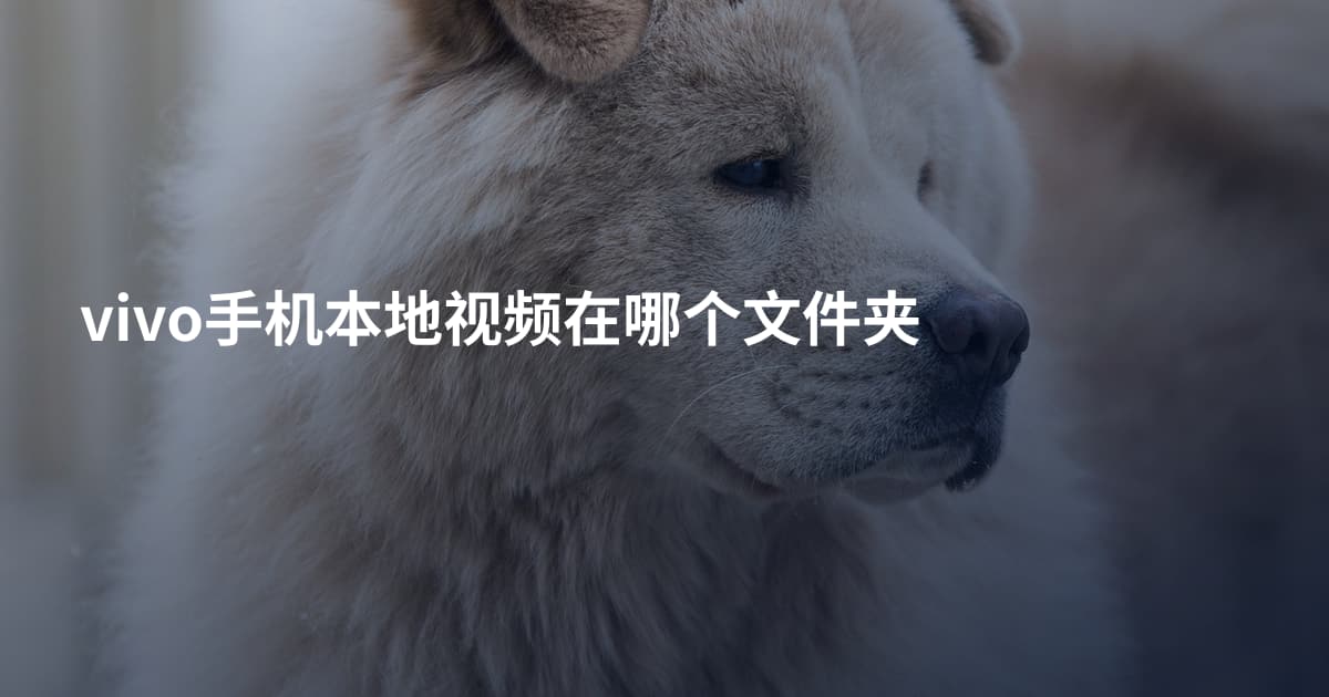 vivo手机本地视频在哪个文件夹