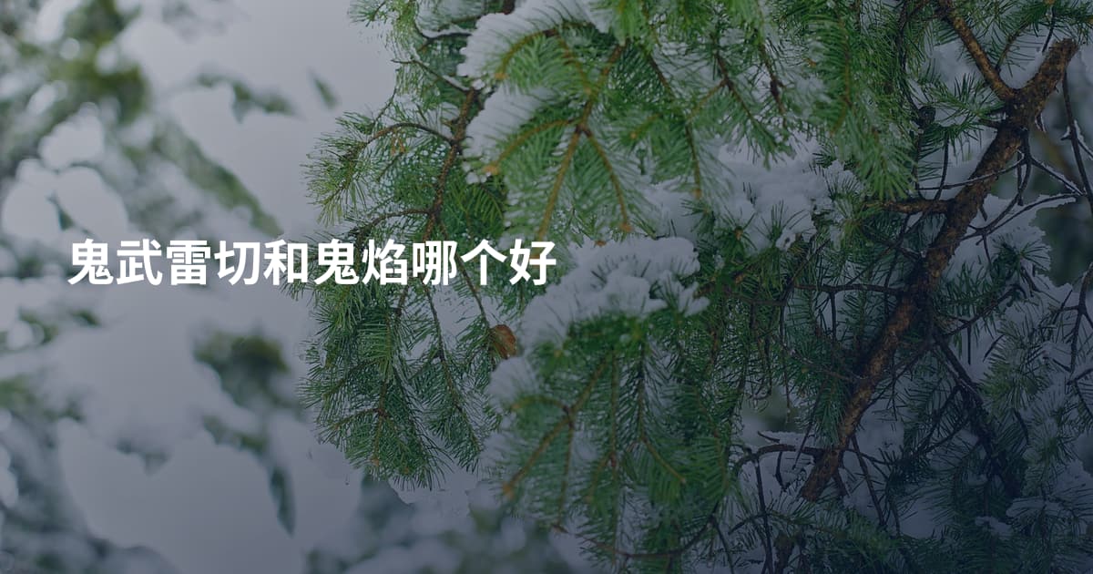 鬼武雷切和鬼焰哪个好