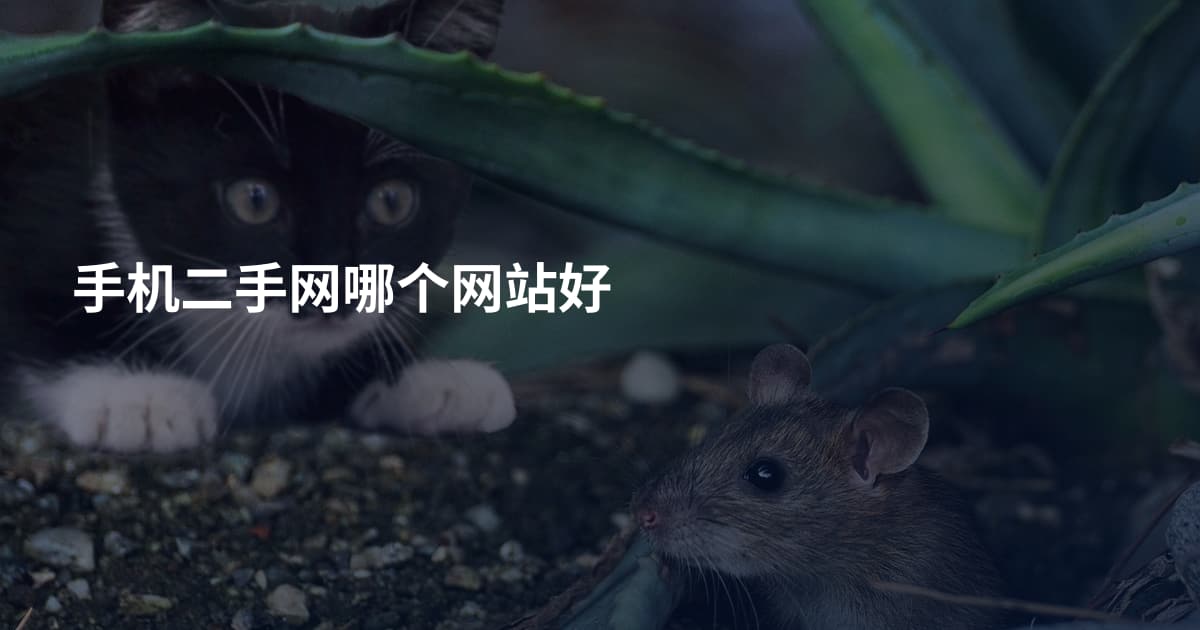 手机二手网哪个网站好