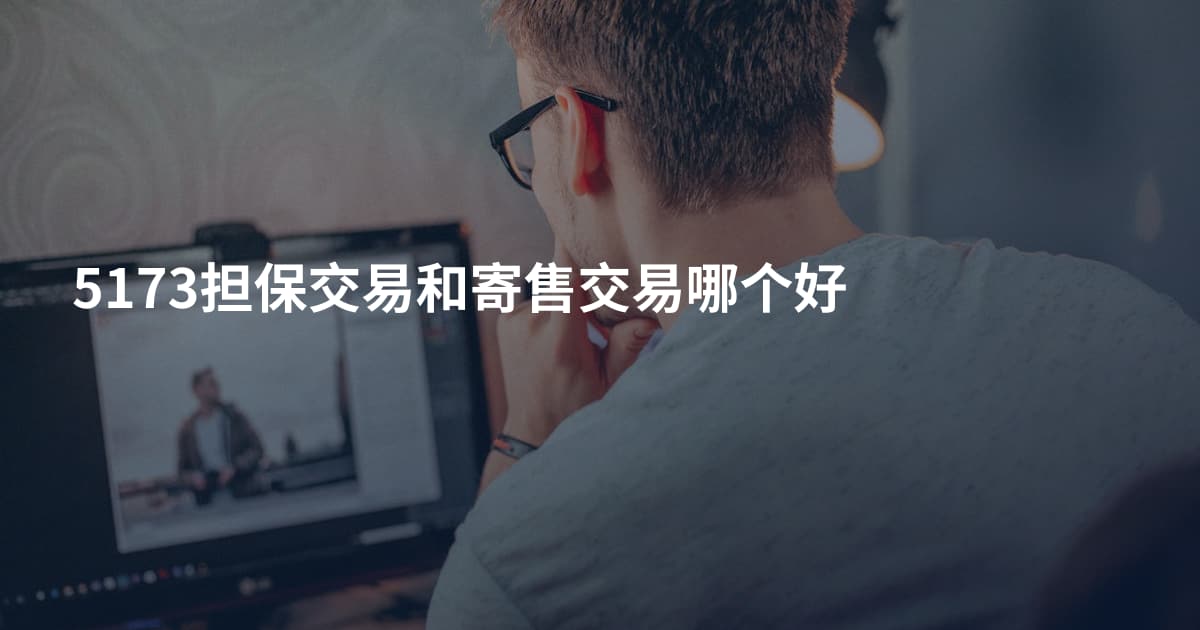 5173担保交易和寄售交易哪个好