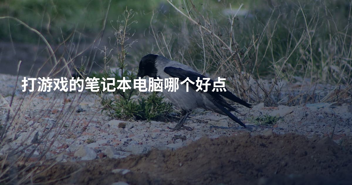打游戏的笔记本电脑哪个好点