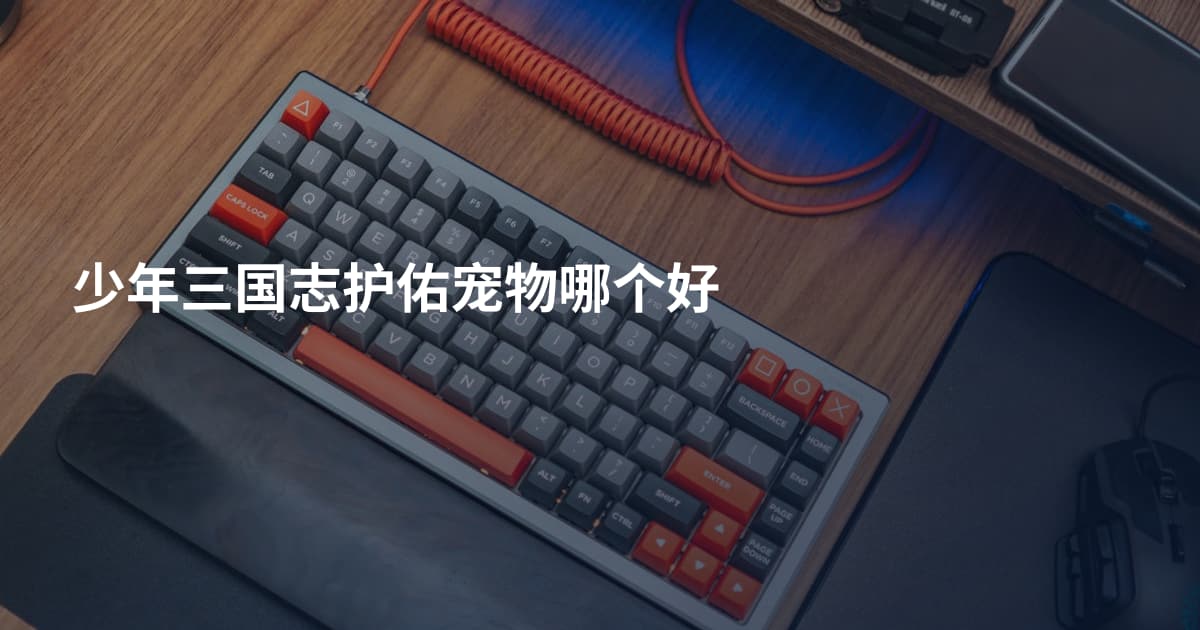 少年三国志护佑宠物哪个好