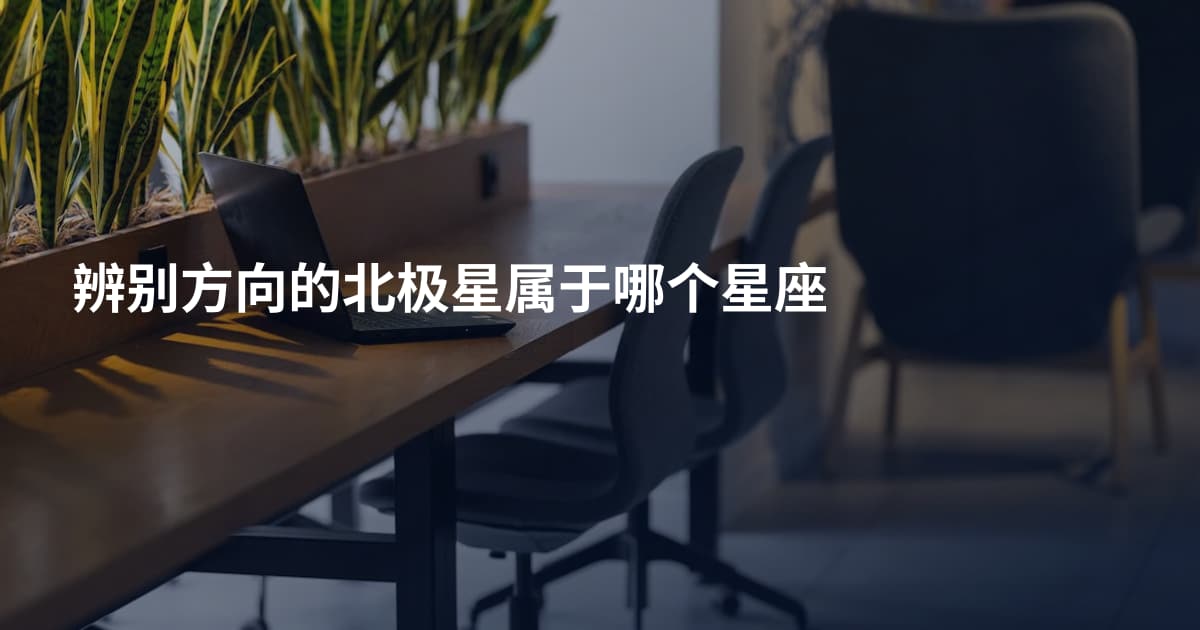 辨别方向的北极星属于哪个星座